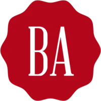 Bright Analyst -  Financial An